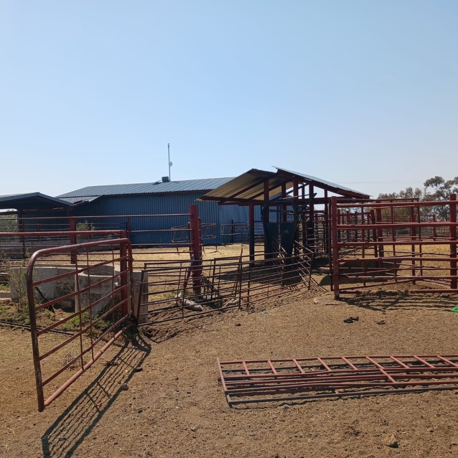  Bedroom Property for Sale in Senekal Rural Free State